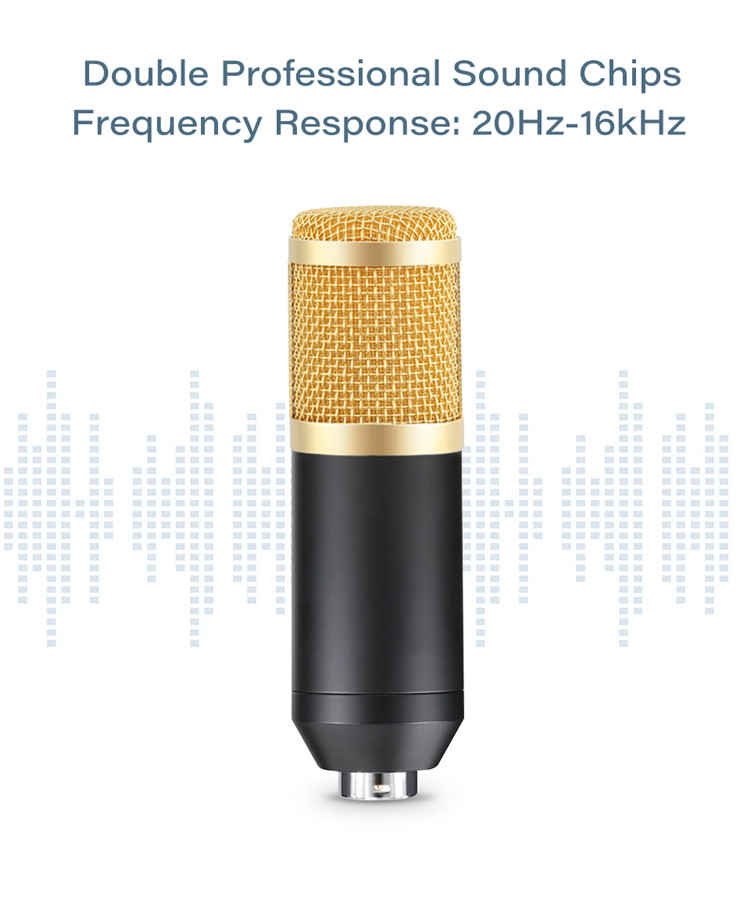 میکروفن کندانسر مدل Professional Condenser Microphone همراه با پایه تلسکوپی و پاپ فیلتر 1 میکروفن کندانسر مدل Professional Condenser Microphone همراه با پایه تلسکوپی و پاپ فیلتر فروشگاه اسپيگن ایران